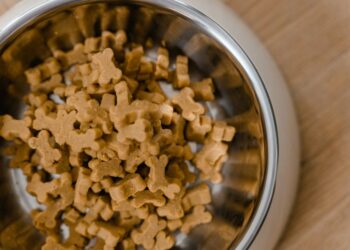 Why Are Diamond Naturals Out of Stock?